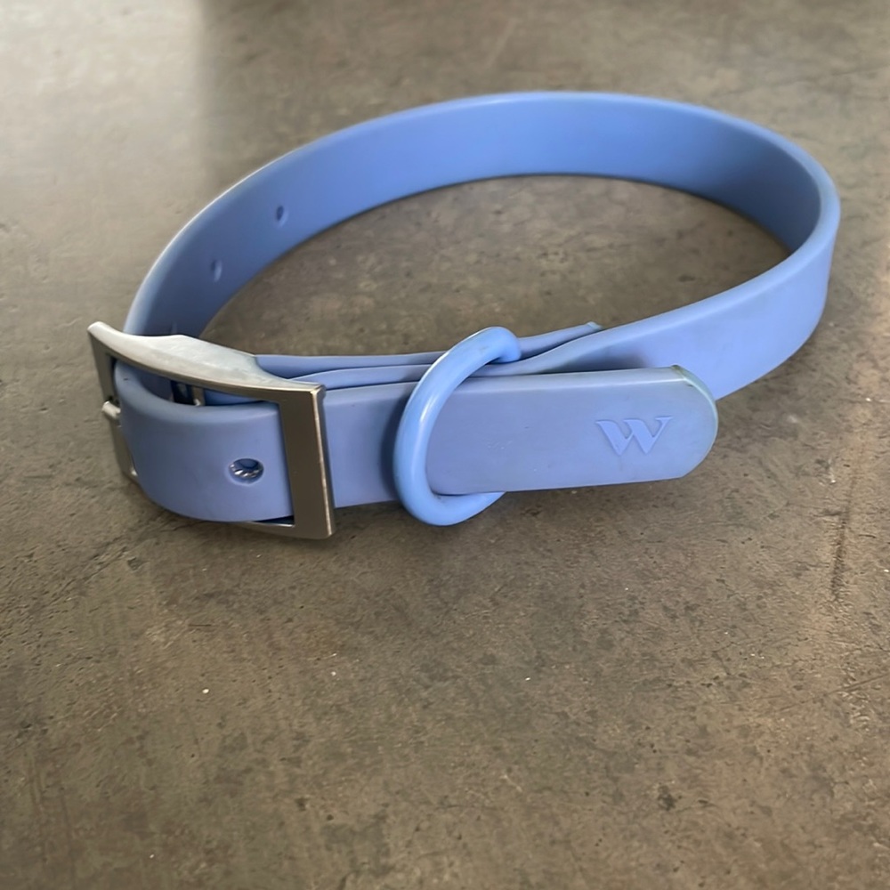 Wild one dog collar moonstone